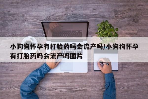 打胎药大月份用联系微信小狗狗怀孕有打胎药吗会流产吗/小狗狗怀孕有打胎药吗会流产吗图片