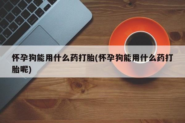 打胎药大月份用联系微信怀孕狗能用什么药打胎(怀孕狗能用什么药打胎呢)